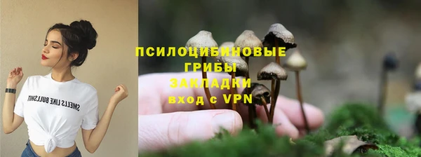 бошки Баксан