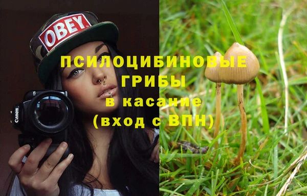 бошки Баксан