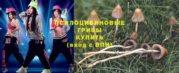 бошки Баксан